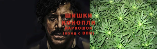 сатива Нефтекумск