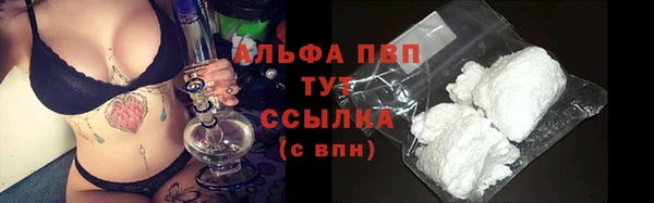стаф Нея