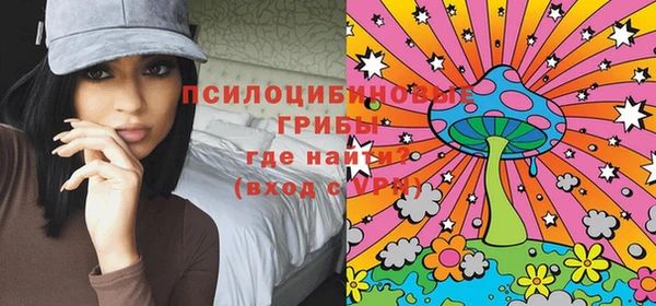 сатива Нефтекумск