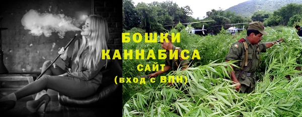 сатива Нефтекумск