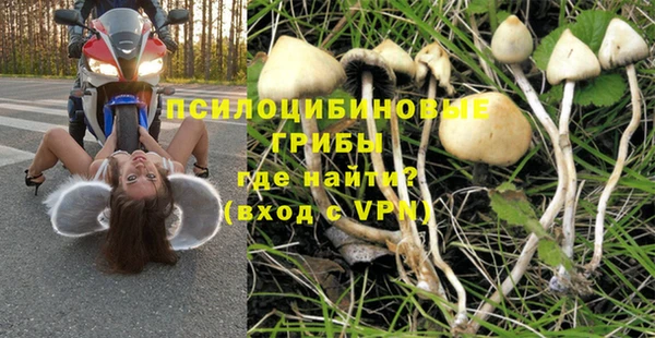 крисы Нефтегорск
