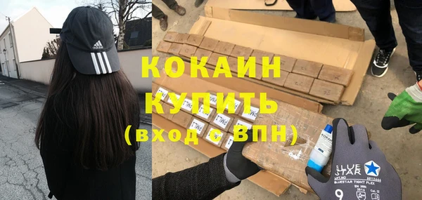 стаф Нея