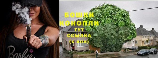 крисы Нефтегорск