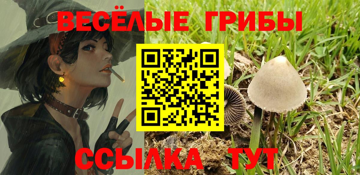 Галлюциногенные грибы GOLDEN TEACHER Татарск