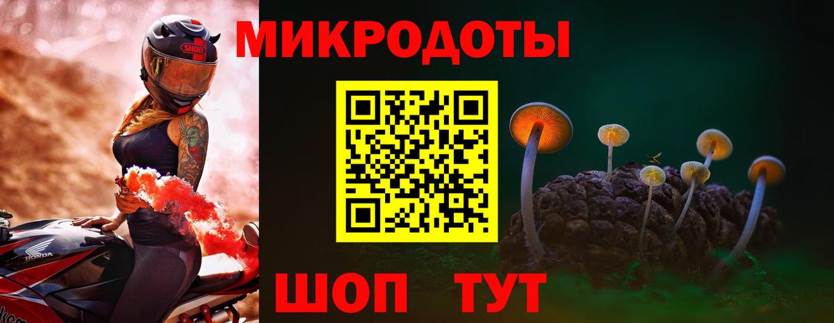 Псилоцибиновые грибы Psilocybe  Татарск  дарнет шоп  Псилоцибиновые грибы прущие грибы 